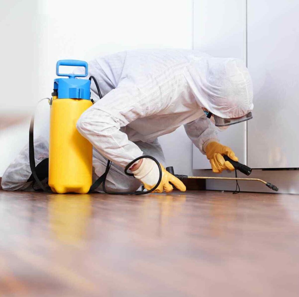 Fumigation and Pest Control Services in Nairobi Kenya