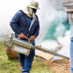 Cost of Fumigation Services in Nairobi