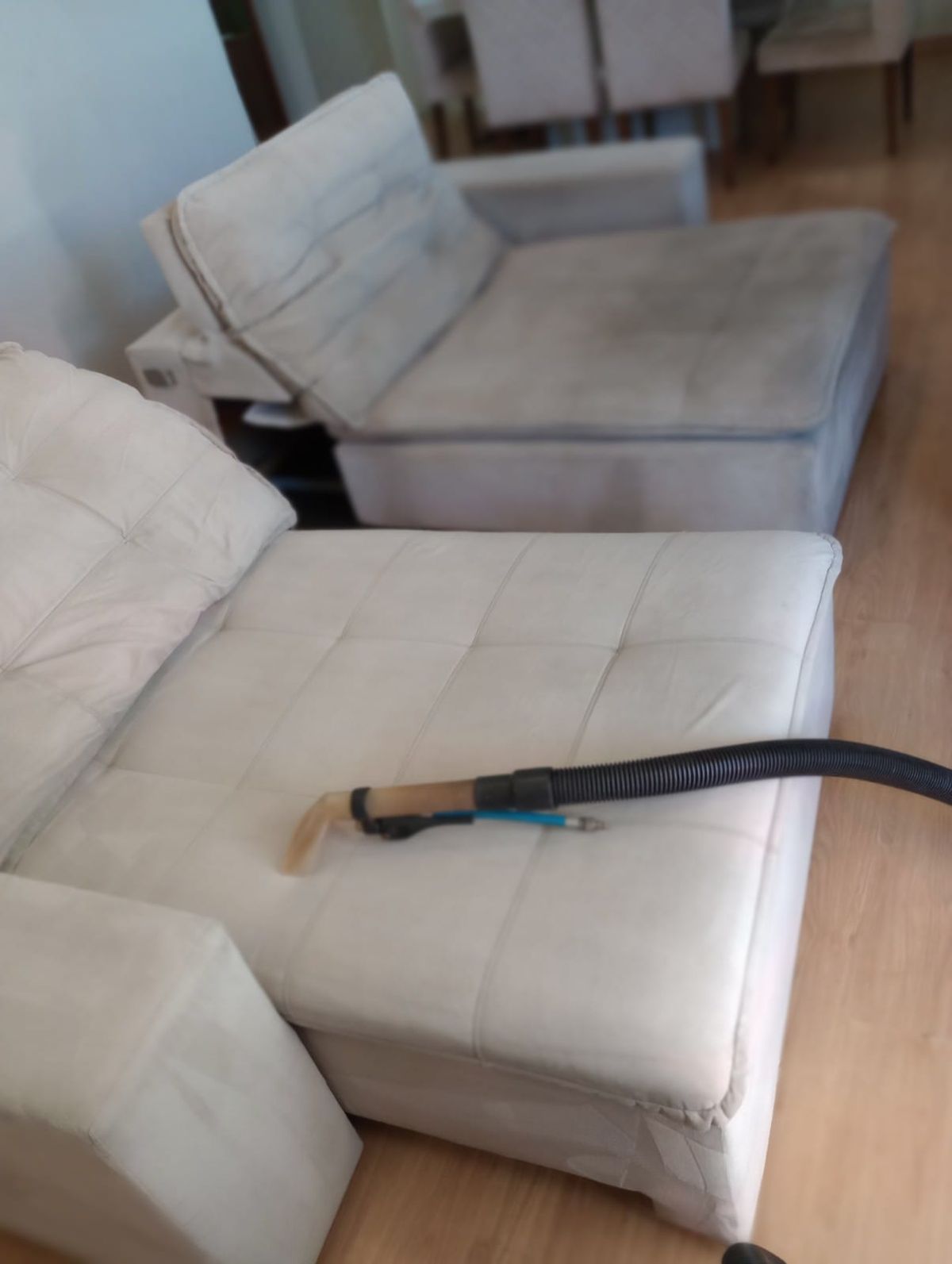 Sofa and upholstery cleaning